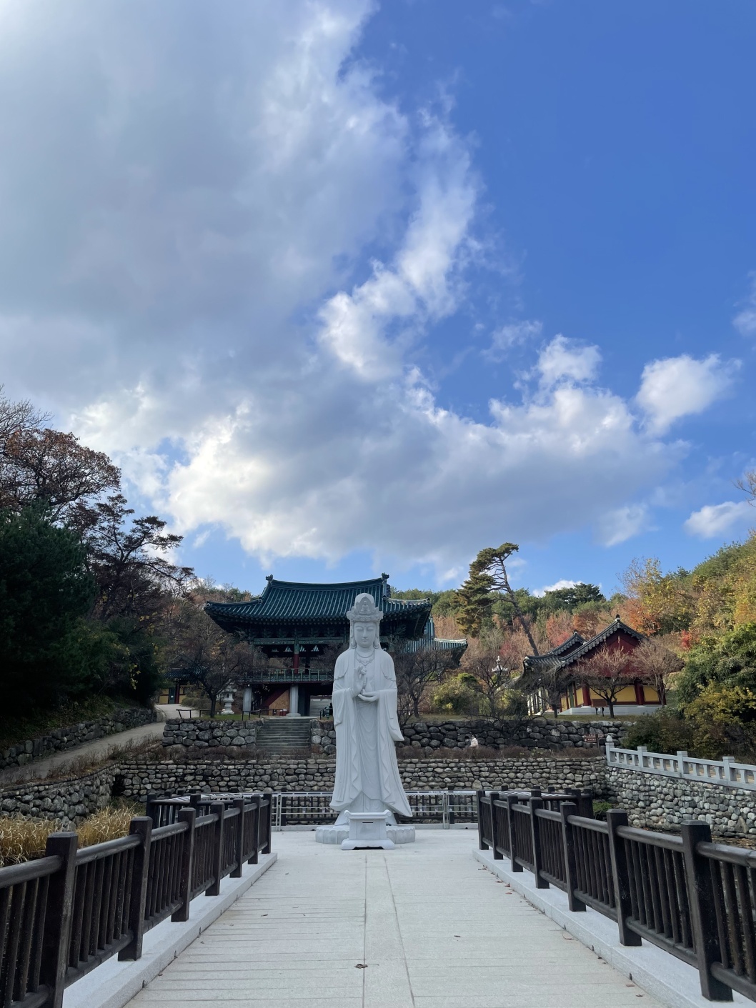 2944258182_rDBihZ8k_1dd6f5a0dc407334e416e28a6d22638d50285fb3.jpg 이미지크게보기